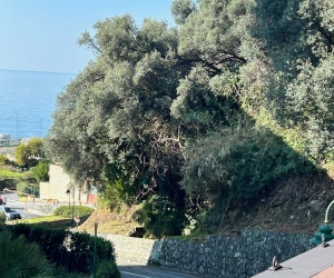 Appartamento Mira